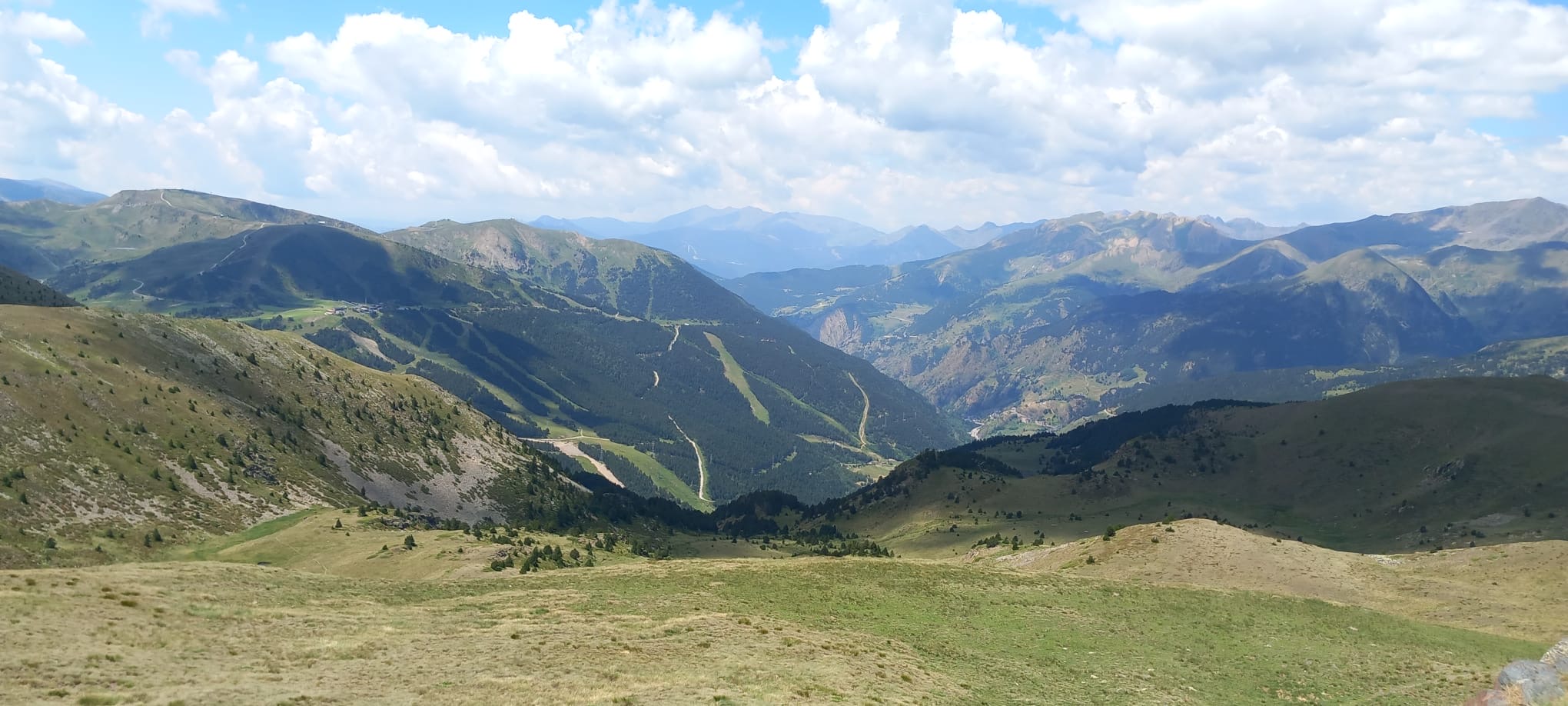 31fc826d-bd25-4349-88f5-9167272af912